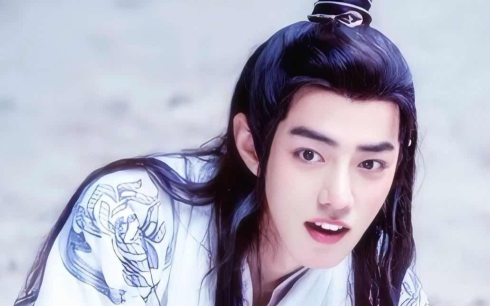 【陈情令/魏无羡/肖战】我心中的少年郎,愿你永远恣意潇洒!