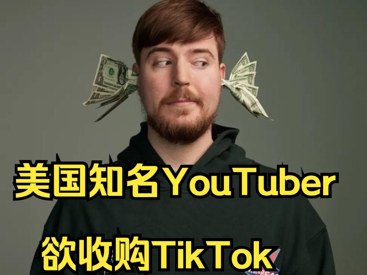 美国知名YouTuber欲收购TikTok哔哩哔哩bilibili