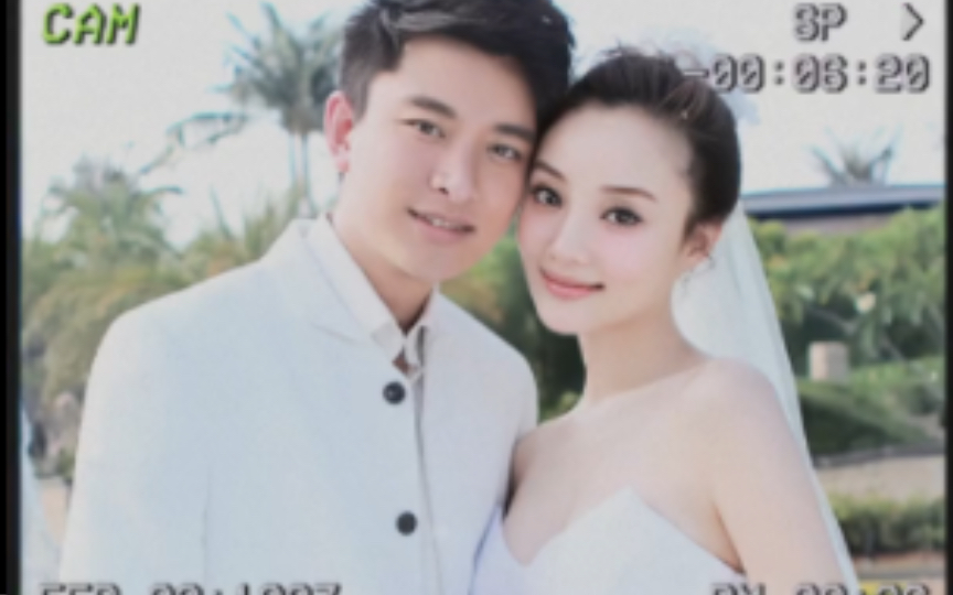 贾乃亮老婆李小璐图片