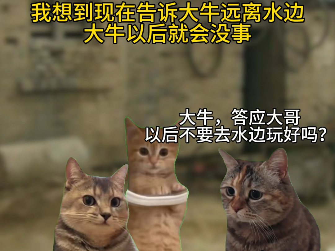 所以是穿越了还是做梦了…#猫meme #猫meme小剧场 #童年 #用100张照片回忆我们 #遇见小时候的自己哔哩哔哩bilibili