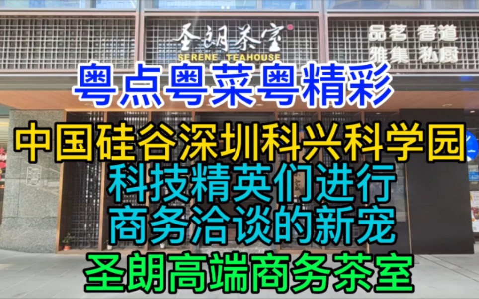 粤点粤菜粤精彩,中国硅谷深圳科兴科学园,科技精英们进行商务洽谈的新宠,圣朗高端商务茶室哔哩哔哩bilibili