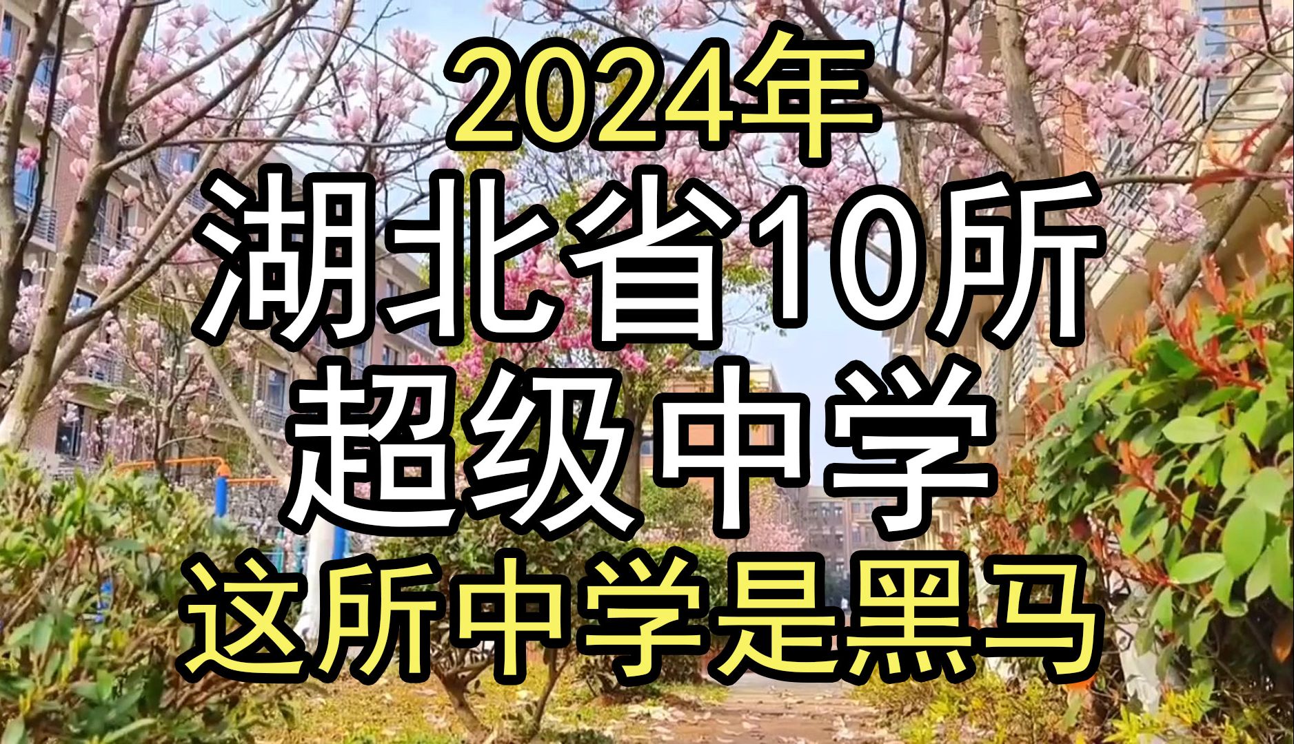 2024年:盘点湖北10所超级中学,这所中学是黑马哔哩哔哩bilibili