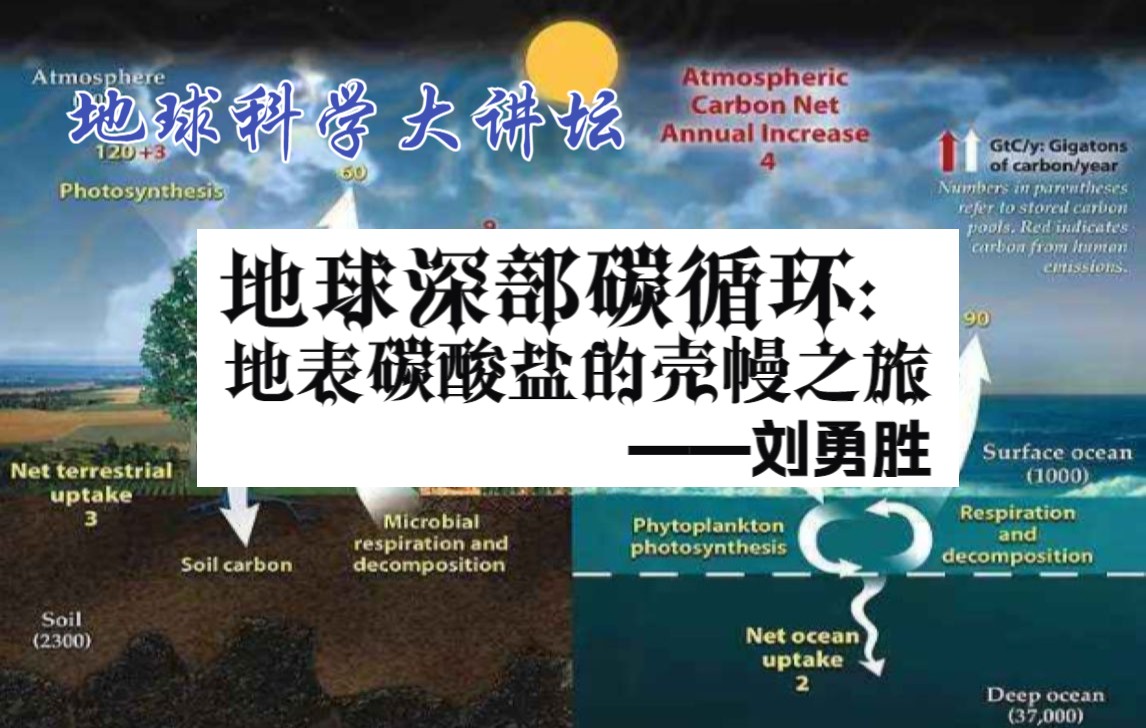 【地球科学大讲坛】地球深部碳循环—刘勇胜(2020.6.13)哔哩哔哩bilibili