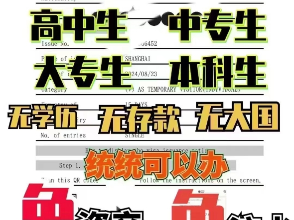 【简化日本签证】免存款、免税单、免居住证、免流水❌大专/退休/留学/无业均可办理✅过年出行的抓紧来了哔哩哔哩bilibili