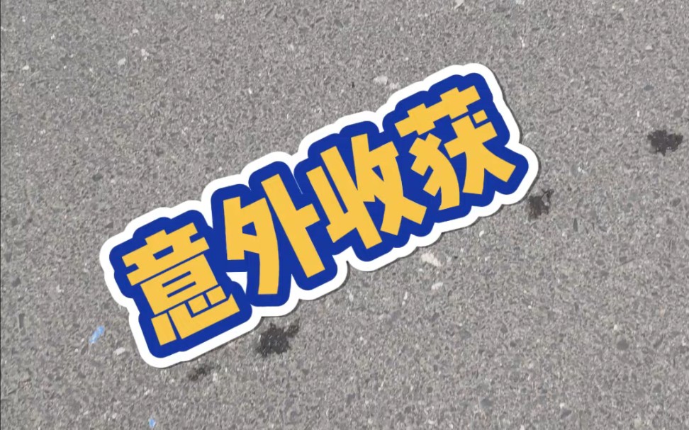 来看车,还有意外收获