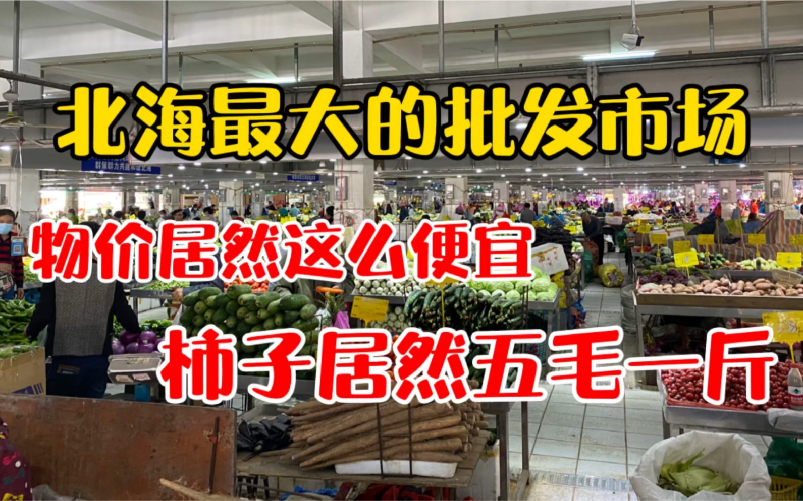 小伙去北海最大的批发市场,物价居然这么便宜柿子0.5元一斤!哔哩哔哩bilibili