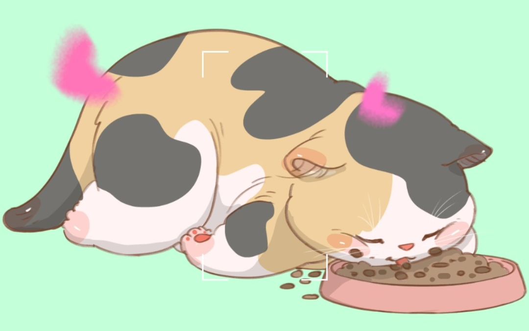 画猫的1454天,干饭喵,干饭魂