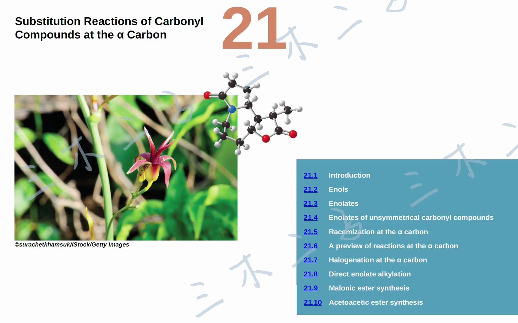 Organic Chemistry  Part 24 从零学有机化学(英文教材)哔哩哔哩bilibili