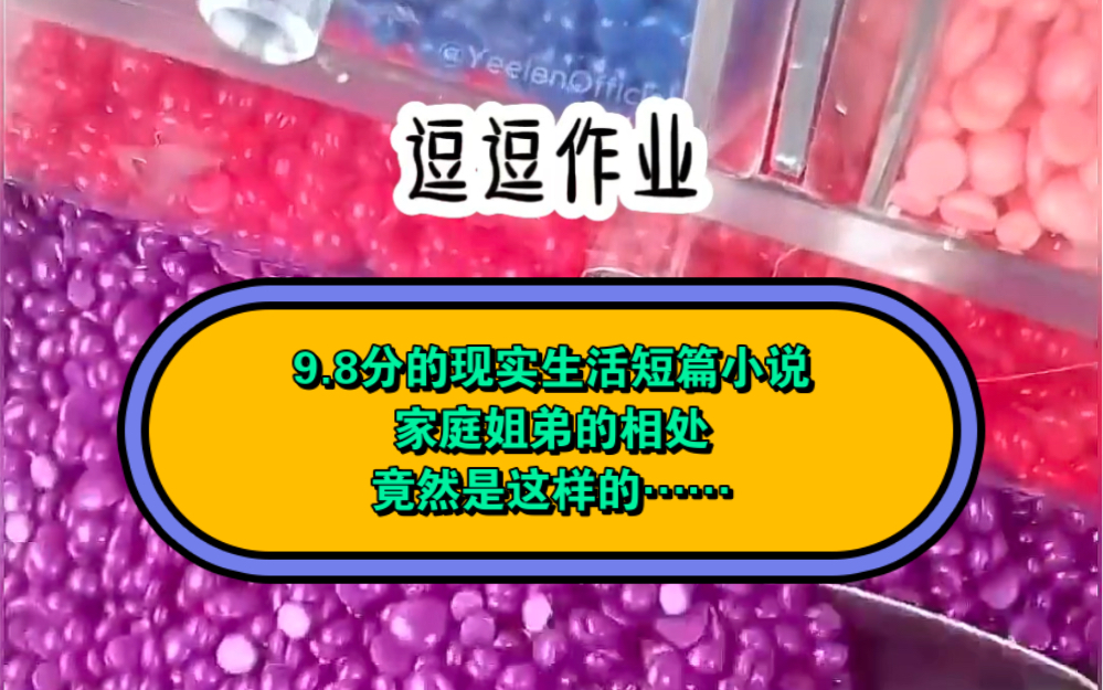 9.8分的现实生活短篇小说家庭姐弟的相处竟然是这样的……哔哩哔哩bilibili