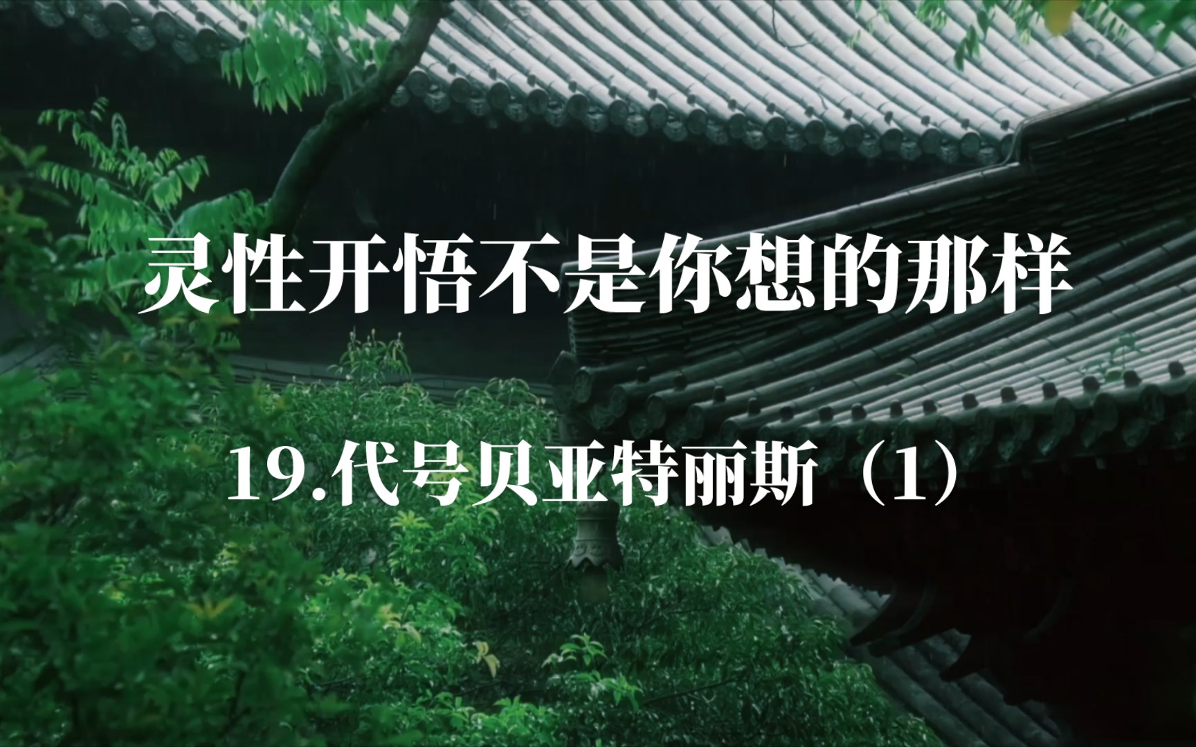 19.代号贝亚特丽斯(1)《灵性开悟不是你想的那样》——灵性追求的基本冲突在于自我渴望开悟,但自我永远无法达成开悟.哔哩哔哩bilibili