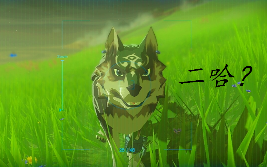 林克狼有多强前期秒怪后期被怪秒