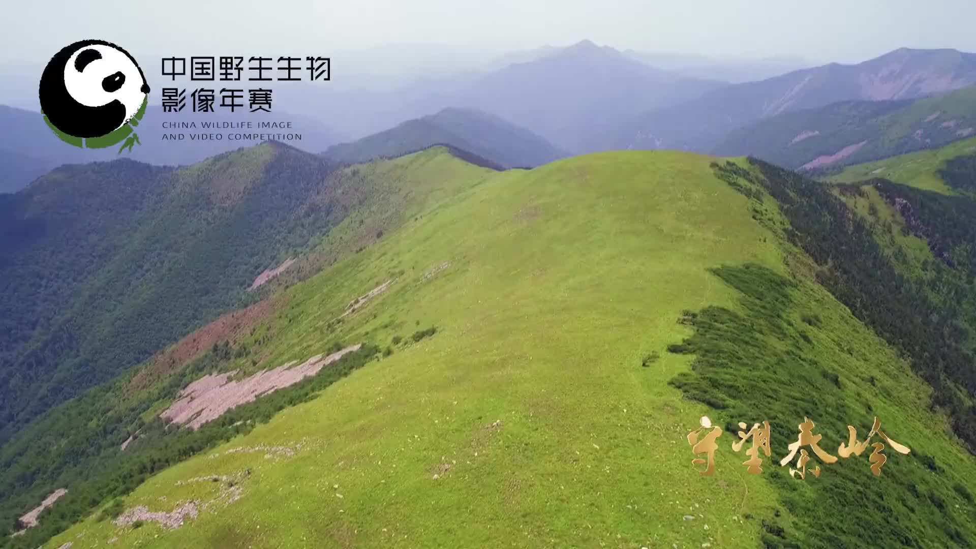 [图]《守望秦岭》系列纪录片 先导片