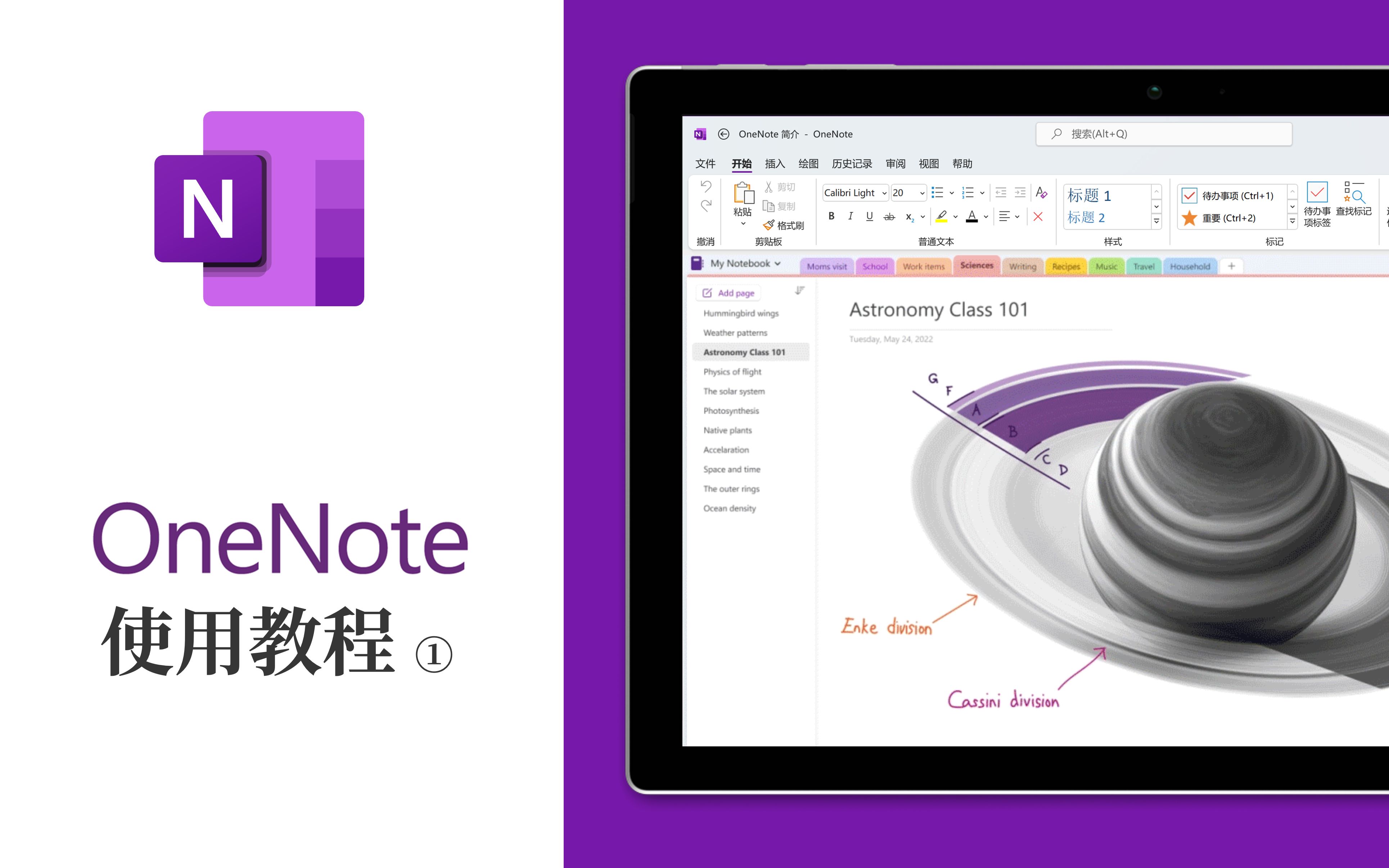 老牌笔记应用OneNote使用教程 ① 入门知识哔哩哔哩bilibili