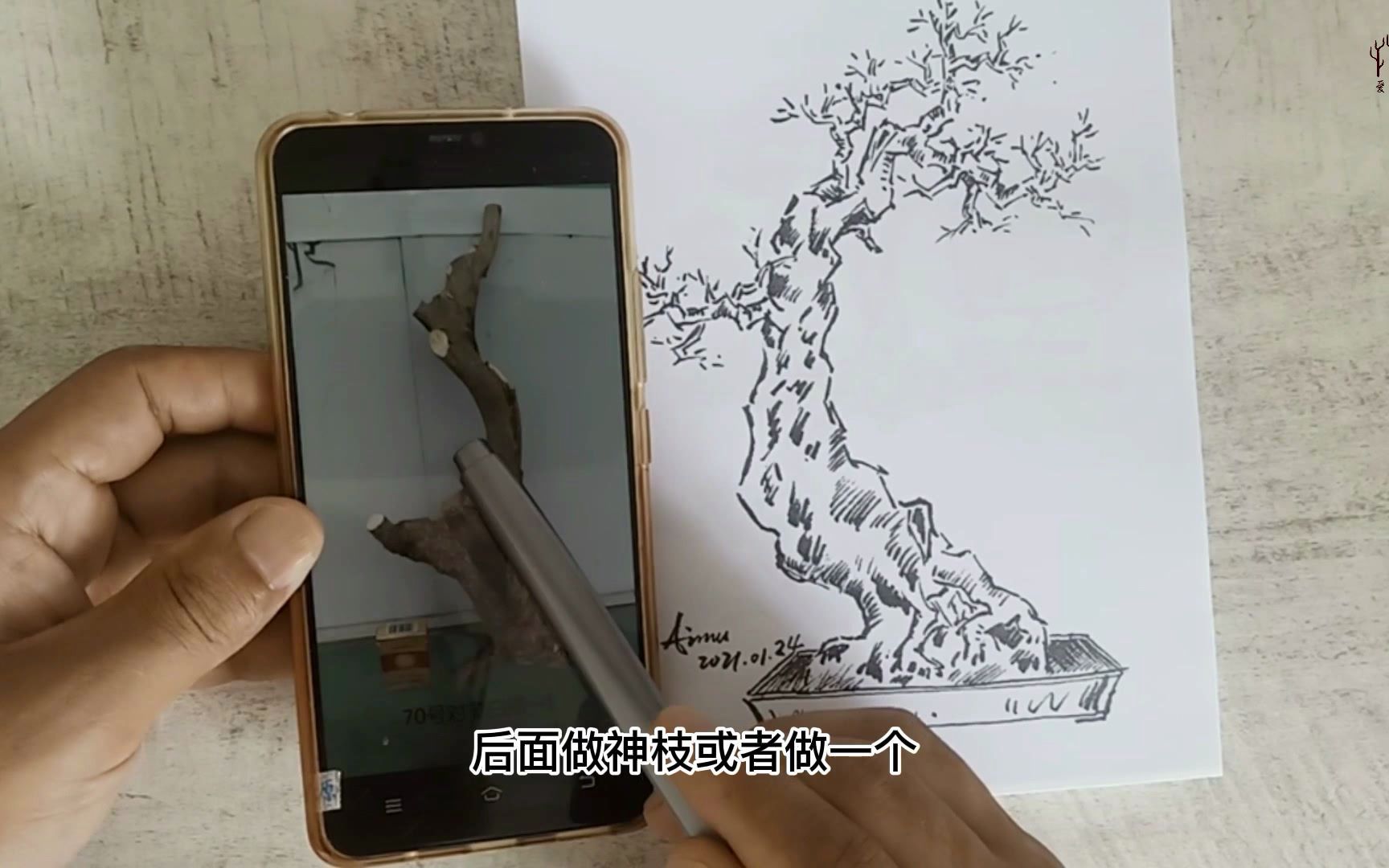 [图]手绘盆景设计图册在手，盆景造型不用愁，使用实例分析