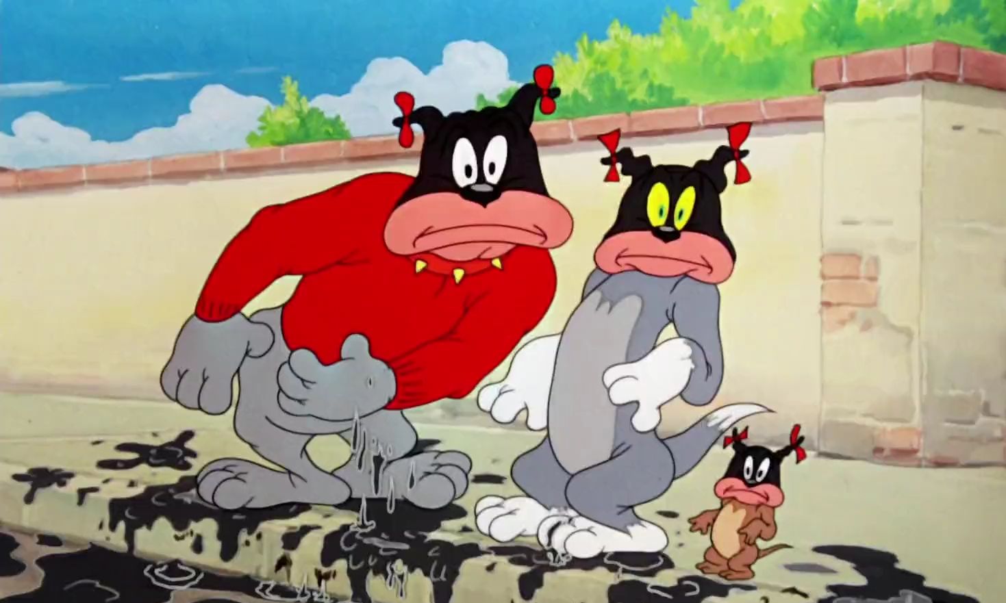 当猫鼠狗三人联盟会发生什么,最后又为何土崩瓦解?