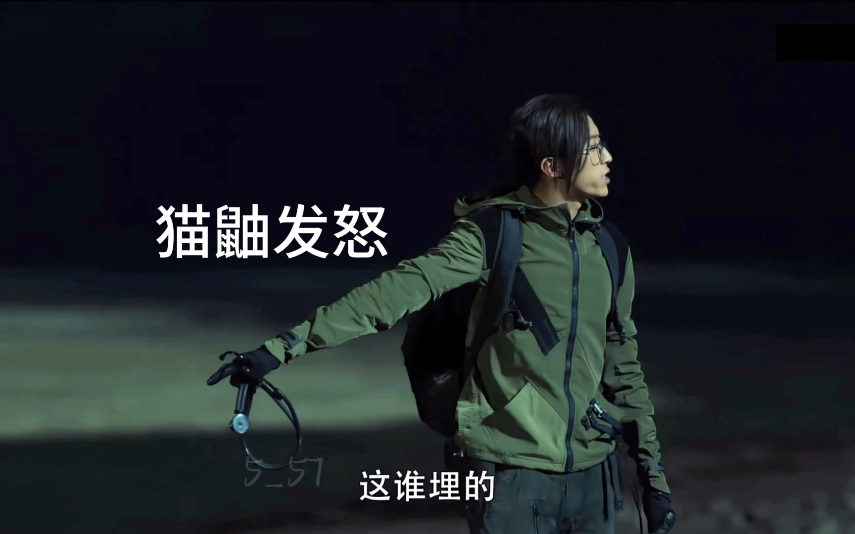 刘丧猫鼬-默认收藏夹-哔哩哔哩视频