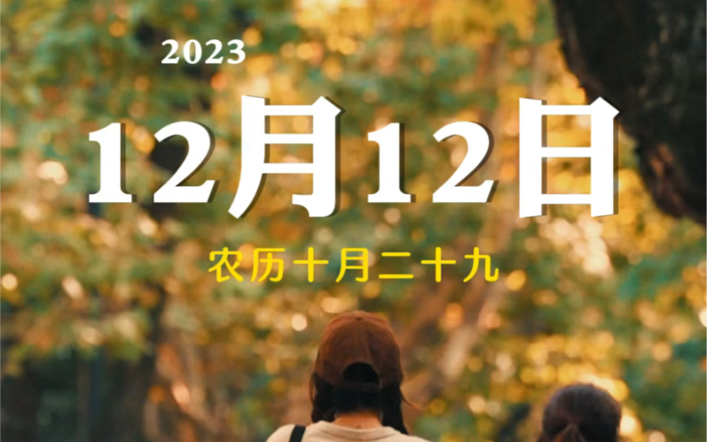 今天是12月12日,全网示爱日,十二真的很特殊,朋友十二画,兄弟十二画