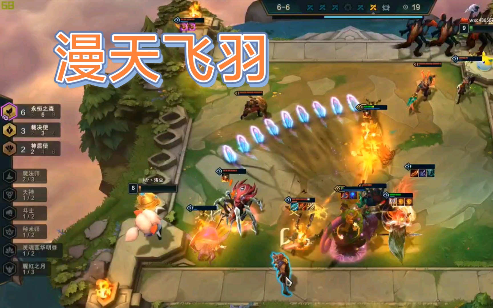 漫天飞羽-这是一只有梦想的霞