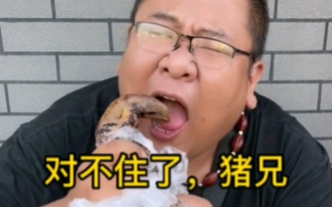 猪道为了充值成功,居然同类相食,那叫一个残忍