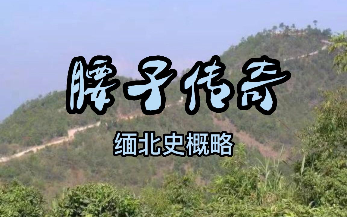 [图]【腰子传奇】片头，噶腰子之地缅北的辛酸往事