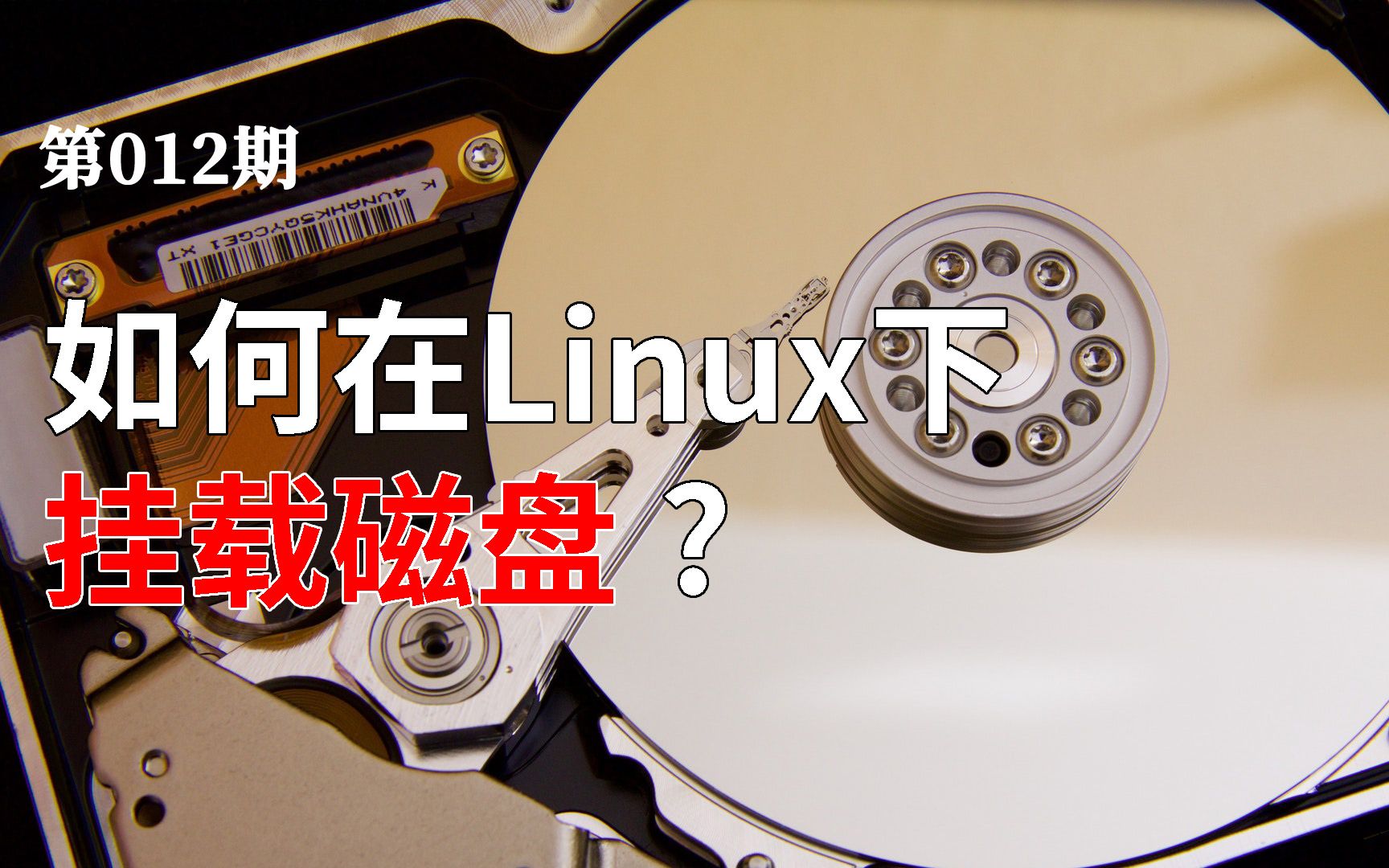 【雕虫小技】 如何在Linux下挂载U盘或者移动硬盘?哔哩哔哩bilibili