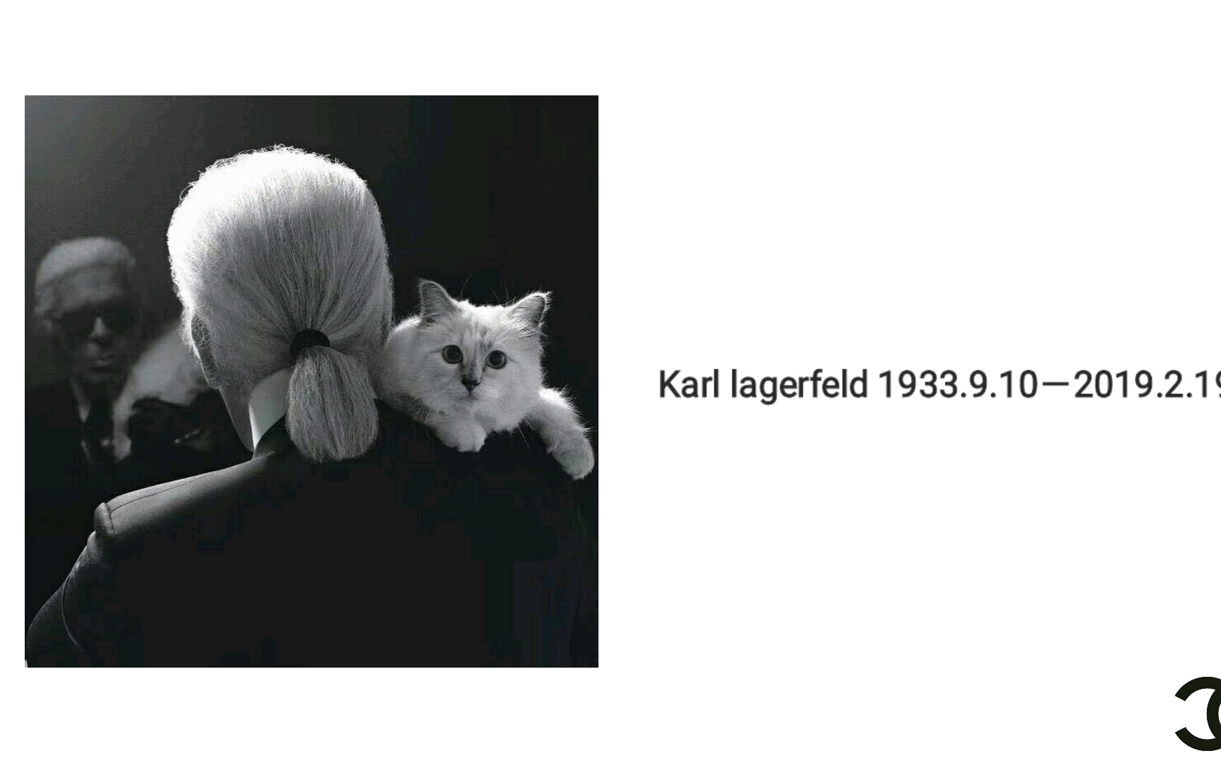 致敬香奈儿传奇设计师【卡尔.拉格斐】【Karllagerfeld】老佛爷1933.9.102019.2.19哔哩哔哩bilibili