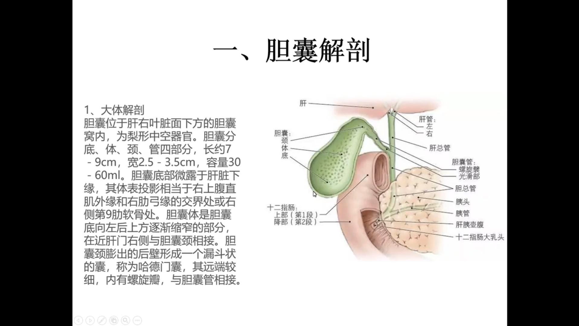 腹部疾病放射诊断培训班