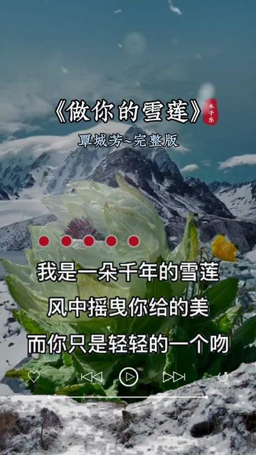 做你的雪莲 #情感音乐 #百听不厌 #一首歌一个故事 #音乐分享