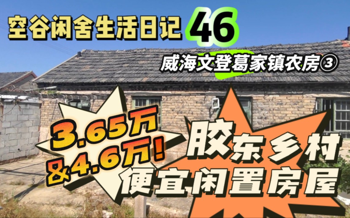 空谷闲舍生活日记46:农村破旧房变身成温馨宜居家园!3.6万和4.6万的山东威海文登区农村小院你中意哪个?农家小院|农民房|胶东石头院|空置农村房|便宜...