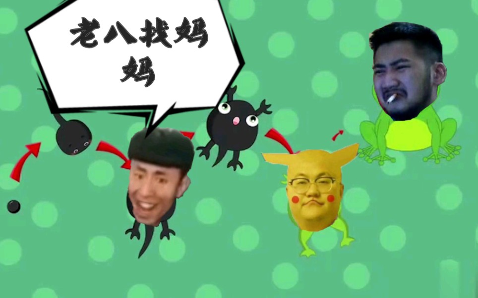 建议改成:老八的进化史,另外老八字幕不能加,观众姥爷们将就看哈