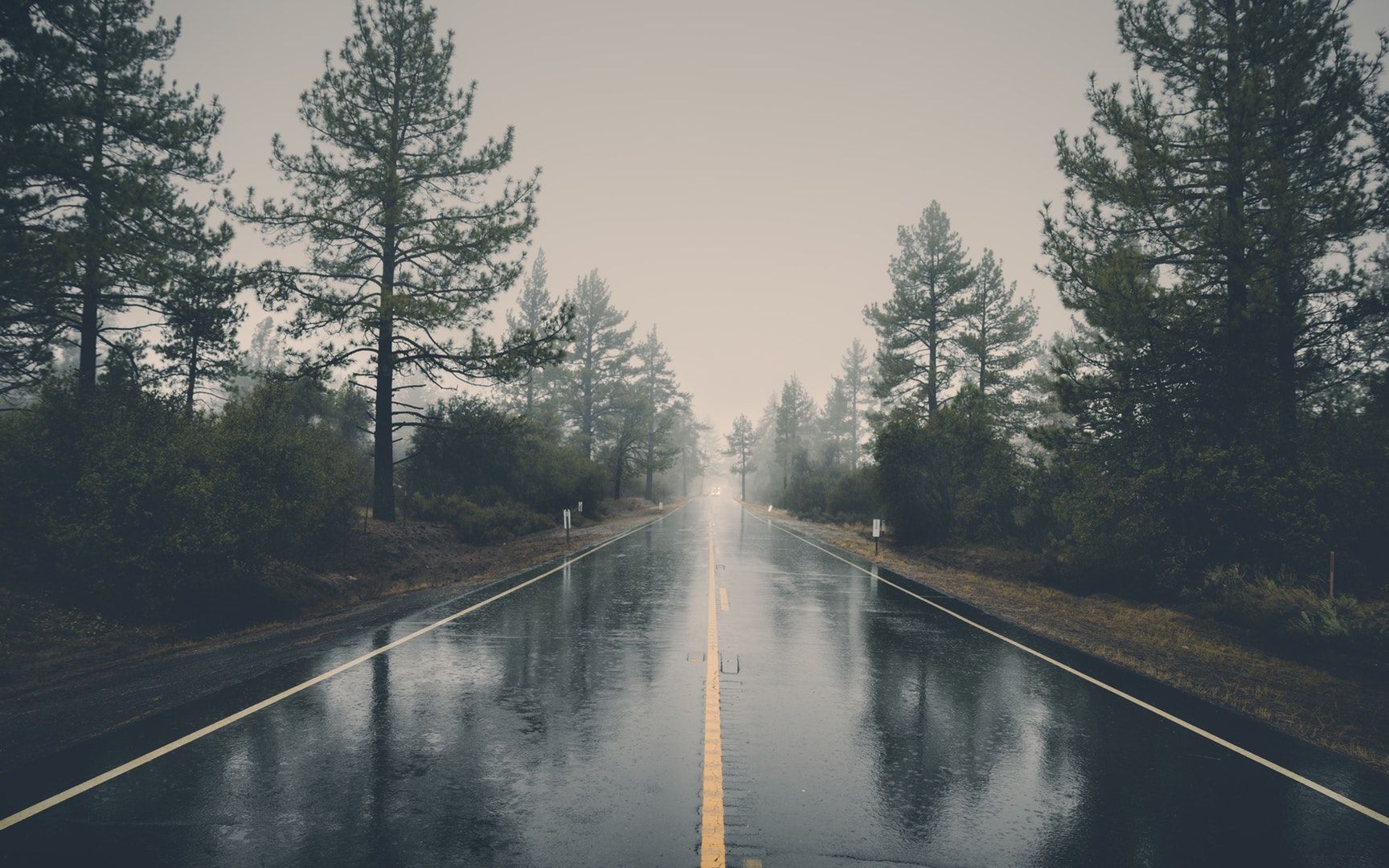 [图]“今天下雨，记得带伞”