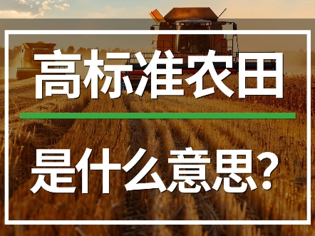 什么是高标准农田?为什么要建设高标准农田?高标准农田的意义和作用是什么?#高标准农田建设 #滴灌喷灌水肥一体化 #智慧农业 #现代化农业 #农技知识...