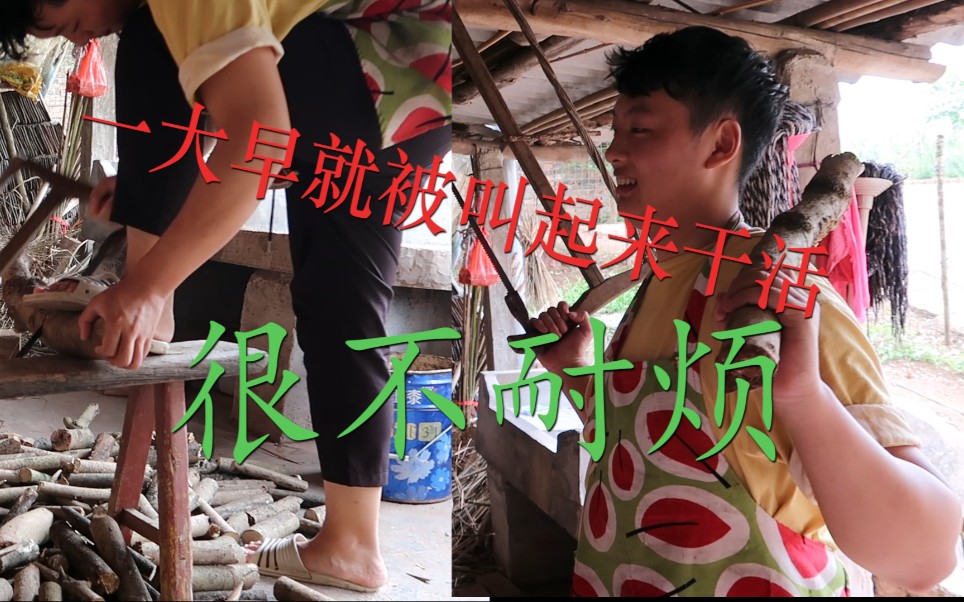 来女友家的日子,一大早就被叫起来干活,小伙很无奈啊!