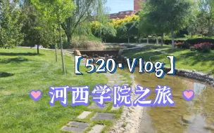 Download Video: 520,漫步在河西学院的校园里！