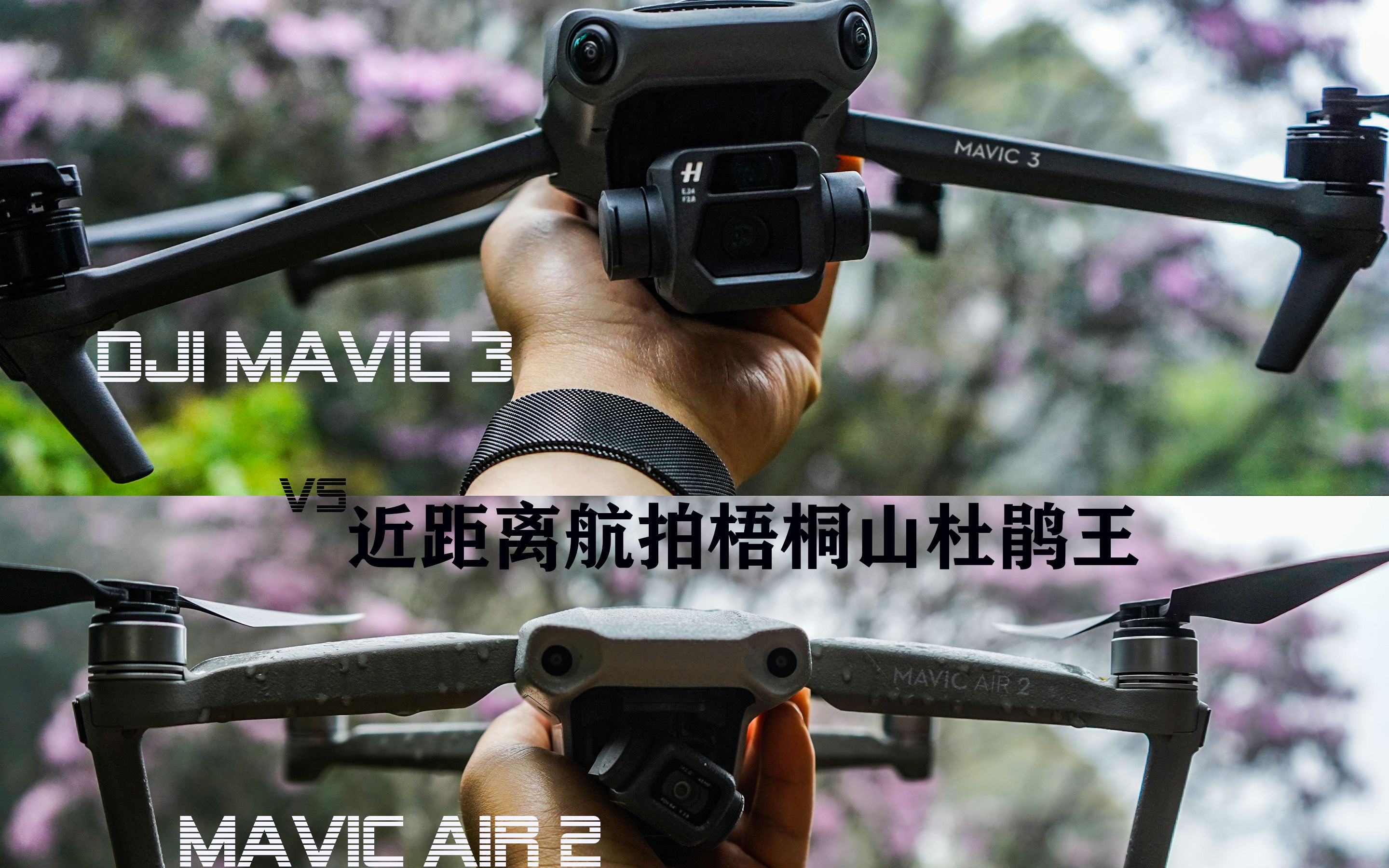 近距离航拍梧桐山杜鹃王是怎样的一种体验?DJI Mavic 3 vs Mavic Air 2大雾中俯瞰杜鹃王哔哩哔哩bilibili