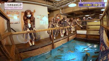 2018.09.09 Radirer！Sunday 乃木坂46・星野みなみ、和田まあや