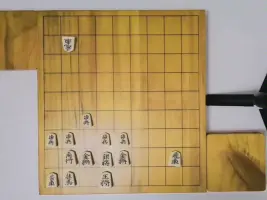 将棋 搜索结果 哔哩哔哩弹幕视频网 つロ乾杯 Bilibili