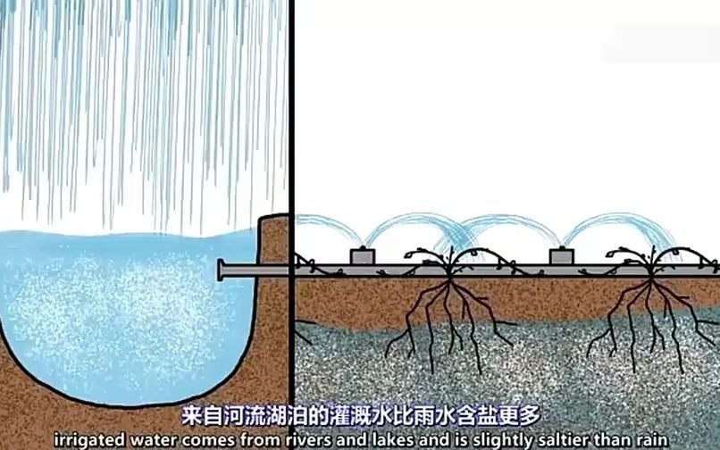 [图]【壤学】秒懂土壤盐碱化，转自外网