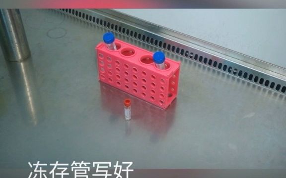 【赛库】#细胞培养基本操作系列 细胞冻存操作哔哩哔哩bilibili