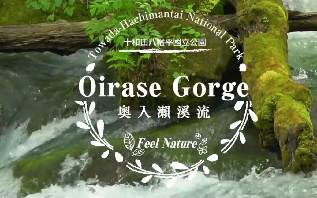 Feel Nature观光宣传短片奥入濑溪流哔哩哔哩bilibili