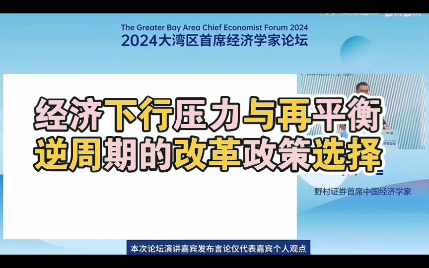 2024.7.27野村陆挺:经济形势分析与政策选择和房地产哔哩哔哩bilibili