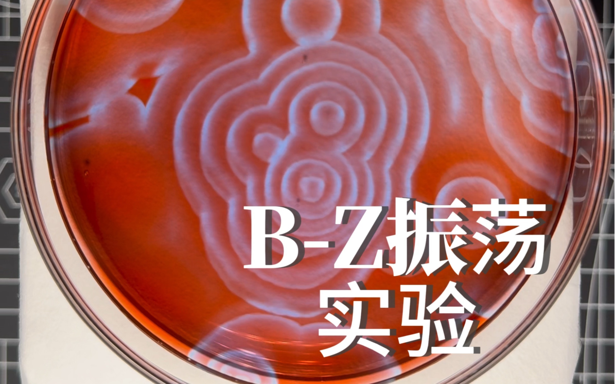 BZ振荡反应哔哩哔哩bilibili