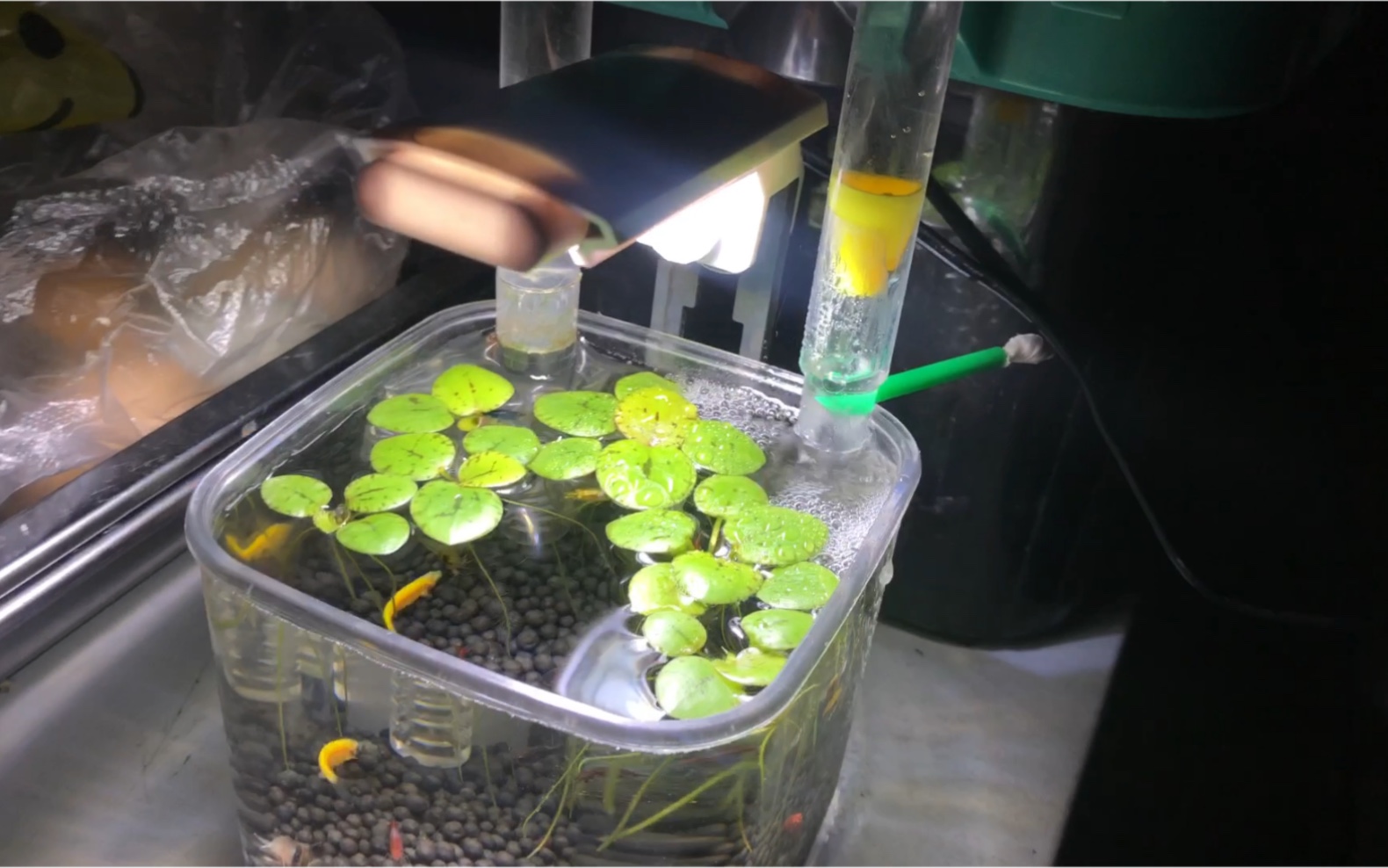 出水口改装增氧