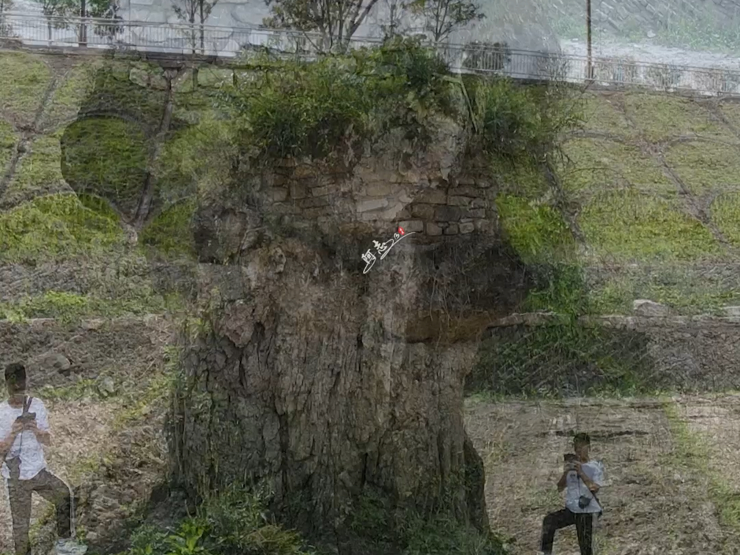 贵州福泉河道中有一块奇特的巨石,外形酷似一只露头的黄鼠狼,据说在修河道时,挖烂3台挖机都没能将它挖掉,这到底是什么石头,如此的坚硬!#神秘 #...