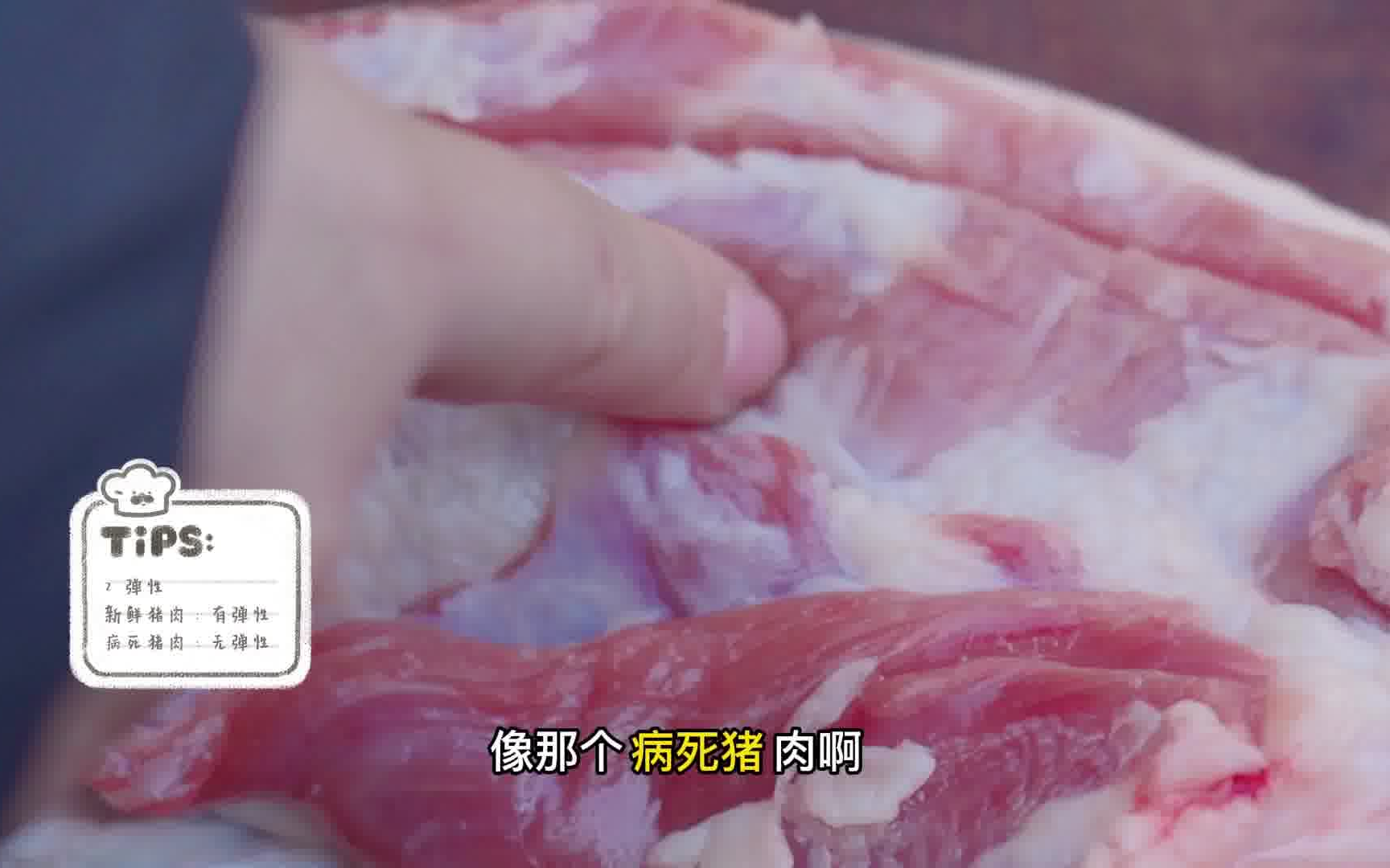 三汇肉联教你如何分辨死猪肉(猪肉)(屠宰厂)哔哩哔哩bilibili