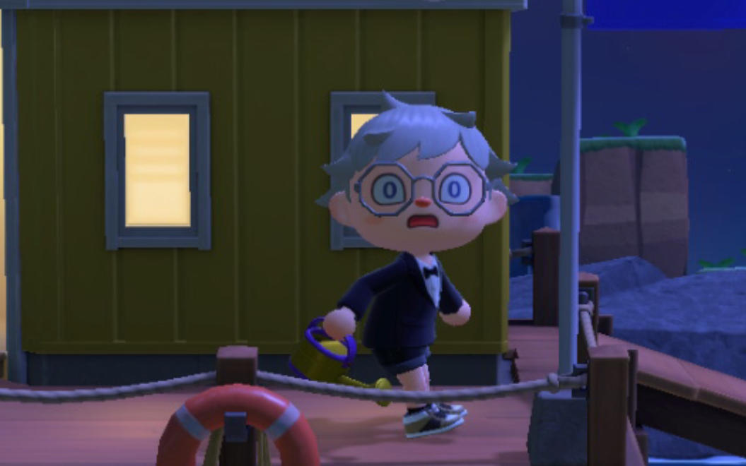 (游戏:动物森友会      动物之森)