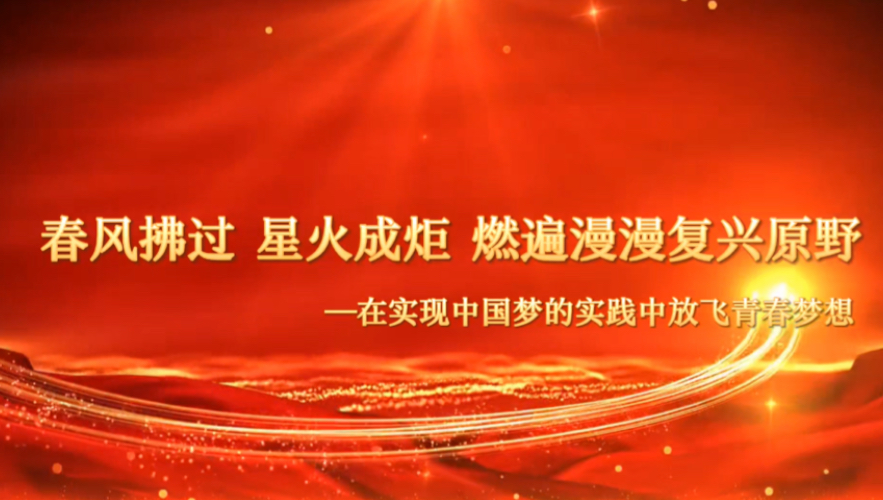 第八届全国高校大学生讲思政公开课参赛作品——在实现中国梦的实践中放飞青春梦想哔哩哔哩bilibili