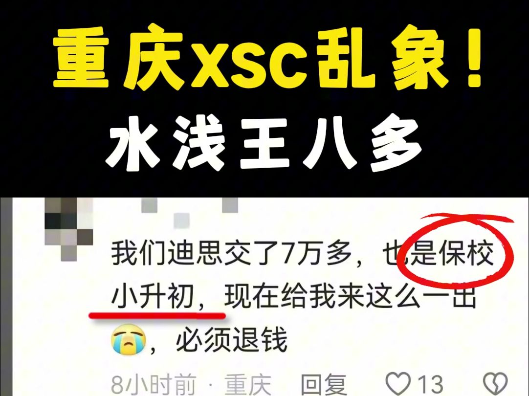 重庆xsc乱象 水浅王八多哔哩哔哩bilibili