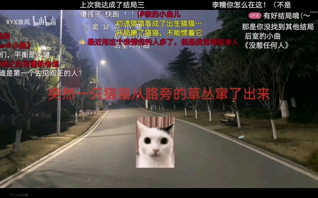 [图]猫猫惊魂全结局