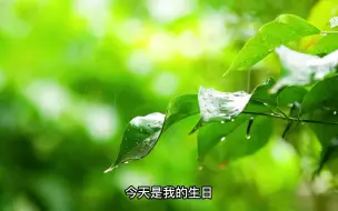 Download Video: 惹烦冉青庄计划第二步：就是要和他吵，要和他闹